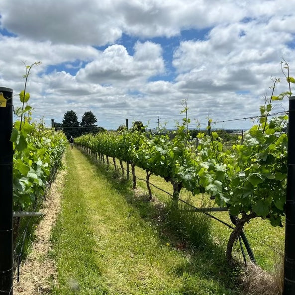 Wishing You a Joyful Festive Season – A Message from Dindima Wines